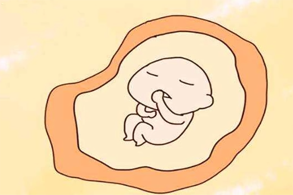 孕囊为圆形生女宝宝