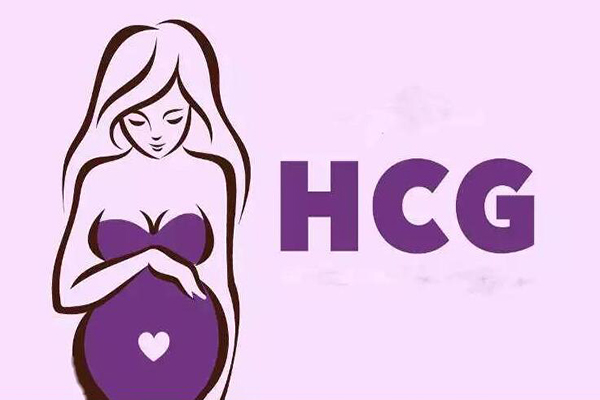 hcg是由妊娠滋养细胞产生的