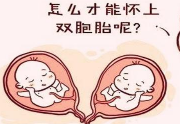 体重有200多斤可以做三代试管婴儿怀双胞胎吗？