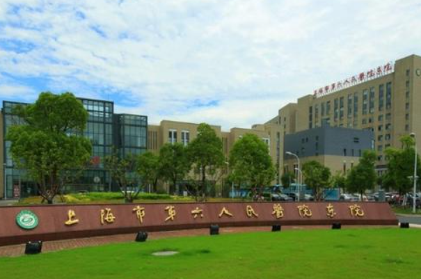 不同胚胎养囊成功率不同