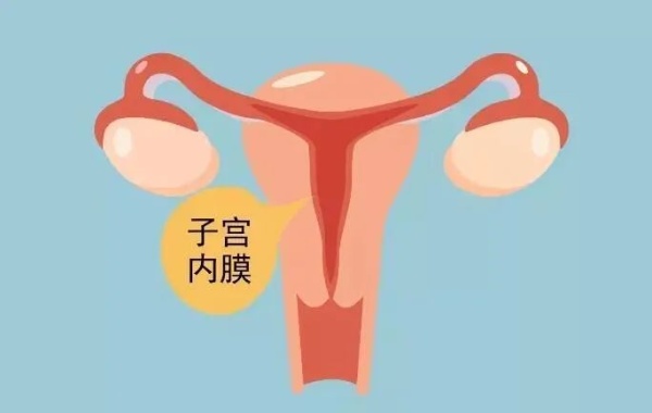 34岁女性在促排卵周期准备检查子宫内膜需要花多少钱呢？