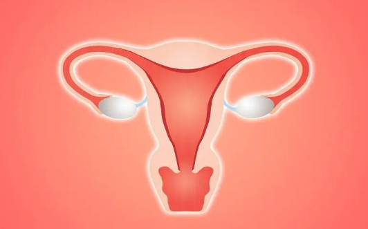 女性患有子宫内膜增生做三代试管成功率有多大？