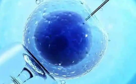 乐宝得尿促性素是一种促性腺激素