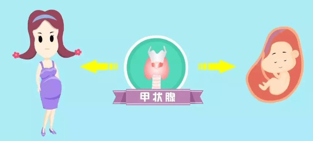 备孕为什么要查甲状腺功能？甲亢对怀孕生孩子有影响吗？