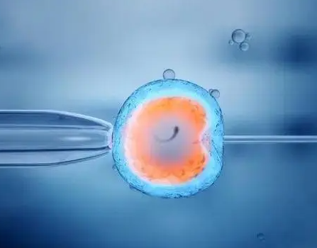 试管最难的一关是哪，难在哪个地方？