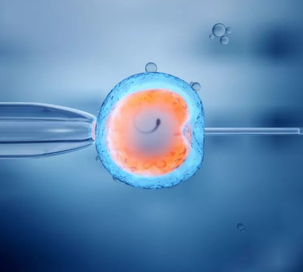 女人冻卵后受孕几率低，怎么才能顺利怀孕呢？