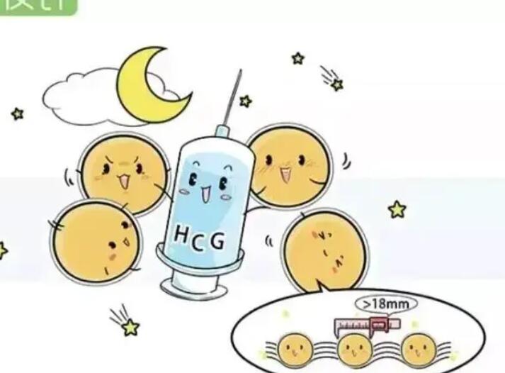 做试管婴儿打完夜针艾泽想预防卵子提前排出怎么躺好？