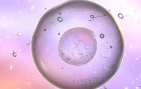 37岁女性只有6个质量不好的卵泡可以成功做试管吗？