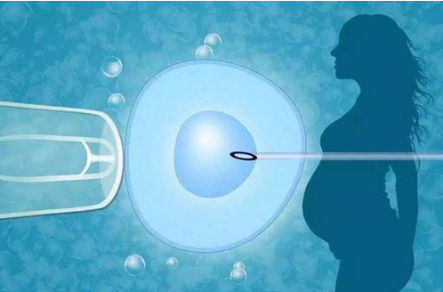 2024年在三甲医院做试管婴儿的费用能报销吗?