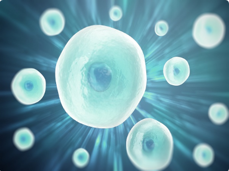 试管不成功的原因，移植后的黄金48小时很重要