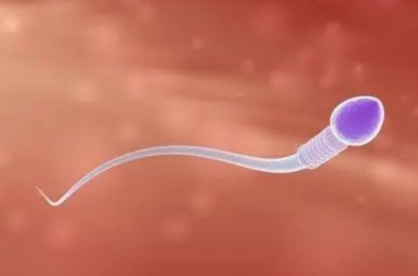 试管配成受精卵前需要考虑男方精子核蛋白成熟度吗？