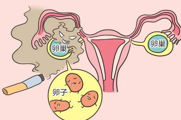 选择好的医生做试管成功率高