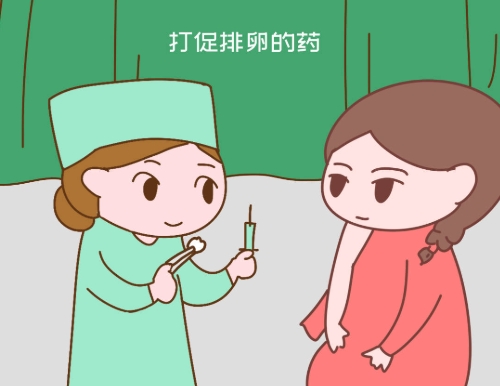 促排是使用促排药促进卵泡发育