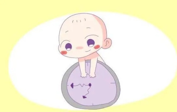 无子嗣女性用二代试管婴儿做出来的孩子在算命之内吗？