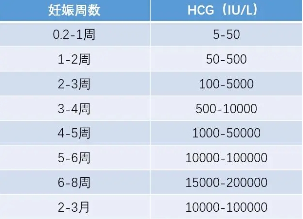 怀孕前期hcg增长速度快