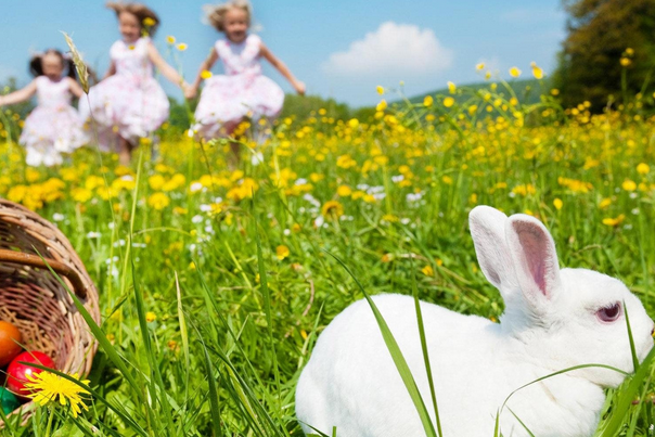 5月出生的宝宝的性格沉稳