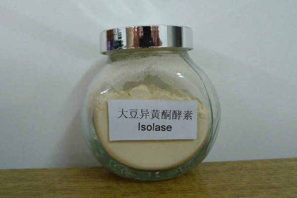 大豆异黄酮可促进乳房发育