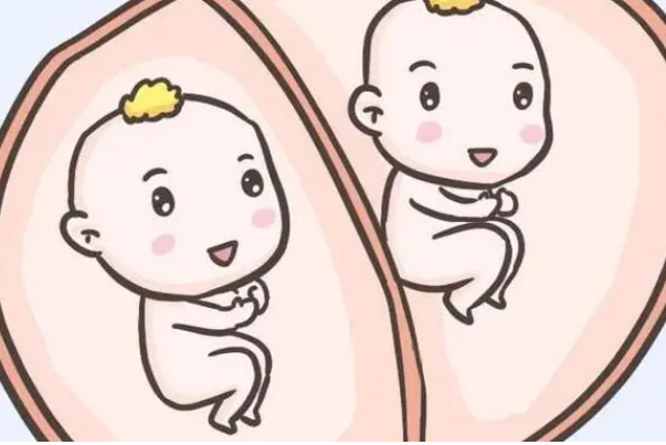 网传通过试管生的双胞胎多数是龙凤双胎是真的吗？