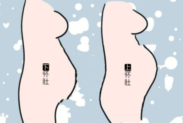上怀和下怀肚形不一样