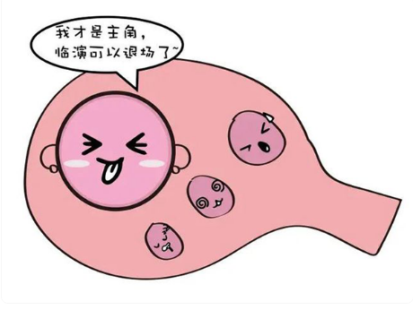 卵泡破了再同房来得及吗，怎么知道排卵已经完了