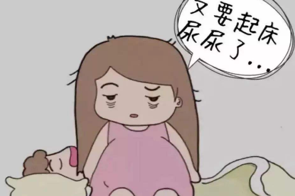 绝经后女性会出现尿频和尿急