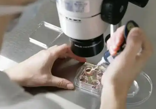 上海集爱医院可以用别人捐的卵子做试管吗？需要满足这几个条件
