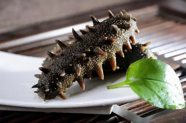 海参是富含精氨酸的食物