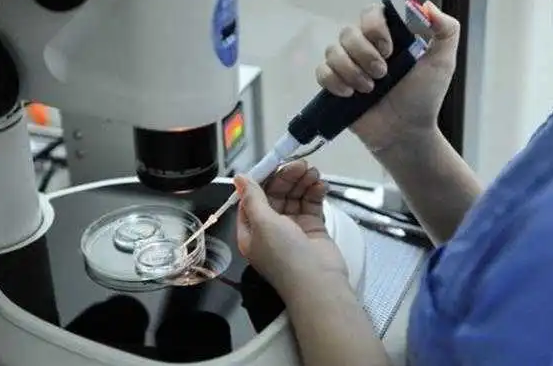 冻卵做试管婴儿能否成功？成功率高吗？