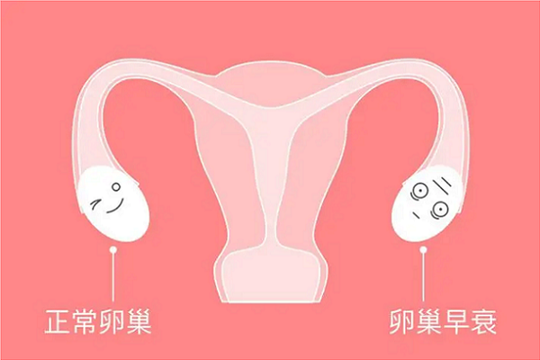 亮丙瑞林不能长期使用