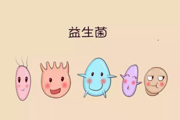 益生菌可以帮助肠道蠕动