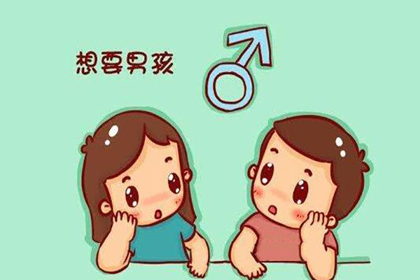 人工受精生男孩的几率大