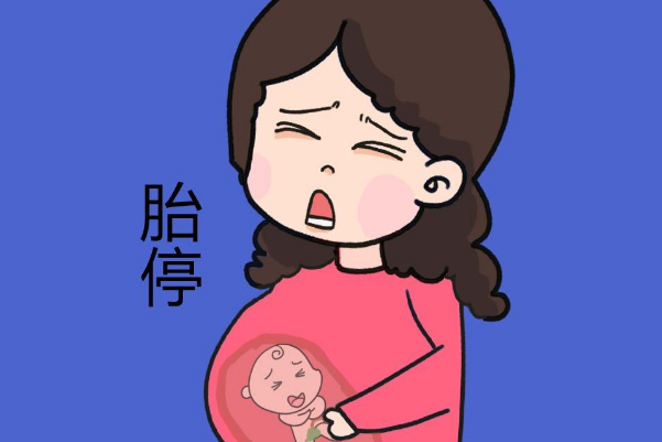 胎停过的女性有必要查染色体