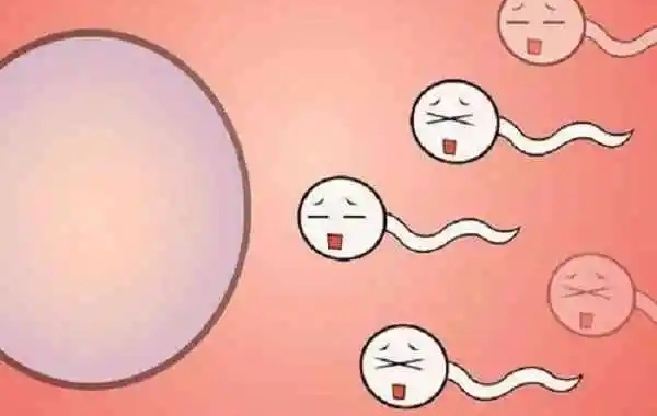 为什么2代试管采用ICSI技术精子卵子不结合呢？