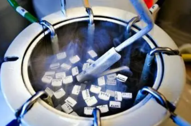 第三代试管冷冻精子在医院最多能保存多久？