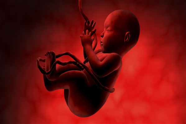孕妇吃维C泡腾片后会导致胎儿畸形