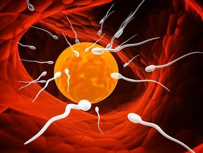 受精卵刚着床成功的6个反应，心慌、发热都是怀孕的表现