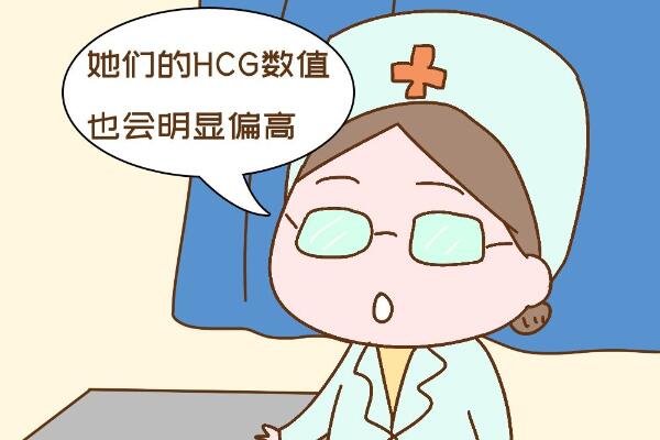 双胎hcg增长较快