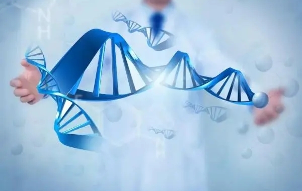 北京医院三代试管养囊后pgd筛查染色体需要多久出结果？