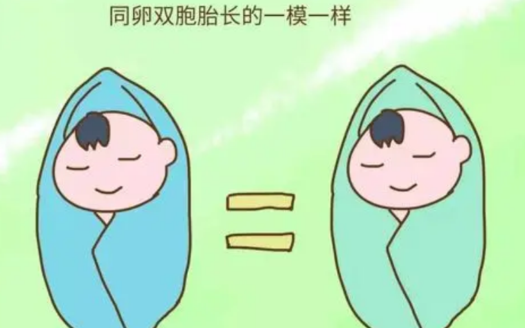 都说孕妈怀同卵双胞胎很吓人是怎么回事？
