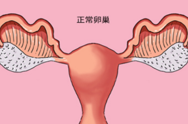 卵巢情况正常的患者选择自然周期方案和长方案哪个好？
