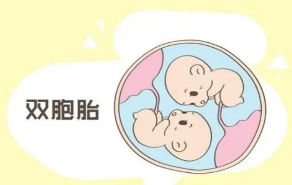 35岁女性做二代试管的双胞胎可能脑瘫的几率大吗？