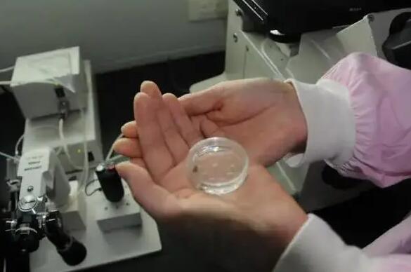 使用供精做试管的费用揭晓，走完全流程至少三万元起