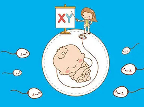 性激素六项哪项看卵巢早衰不孕?看LH高低就一目了然