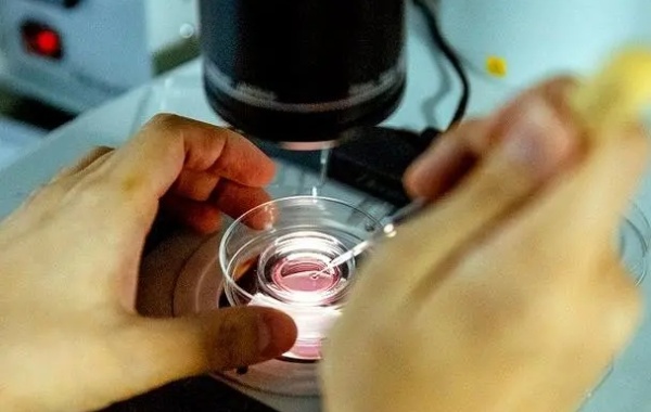 35岁女性amh数值低影响二代试管成功率吗？