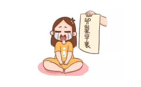 对于卵巢早衰女性来说，赠卵试管婴儿是一种可行的生育选择
