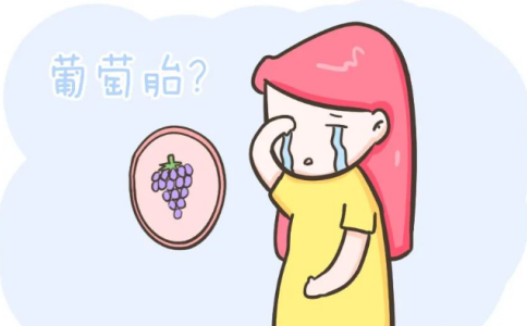葡萄胎是一种异常的怀孕，怀过葡萄胎的人应该怎么备孕