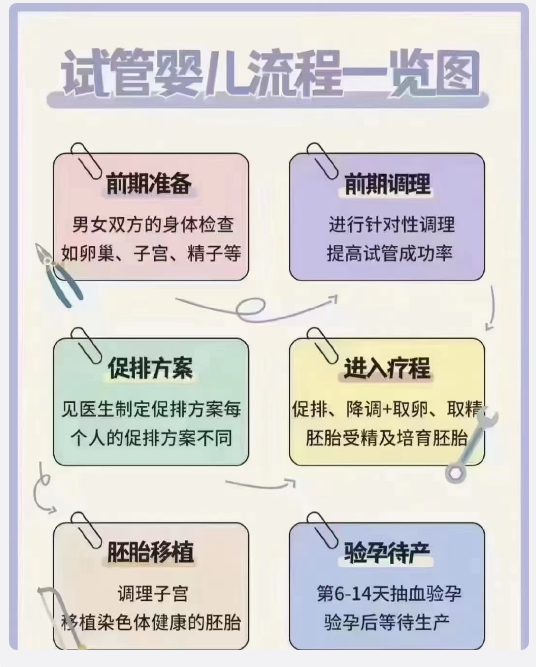[试管婴儿操作流程主要分为哪几个步骤?]