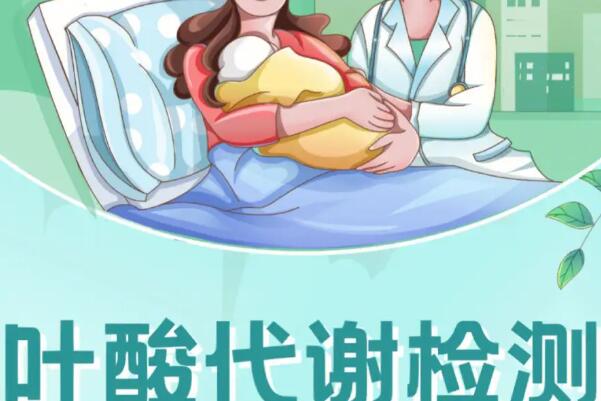 孕前三个月去三甲医院抽血查叶酸代谢大概需要多少钱？