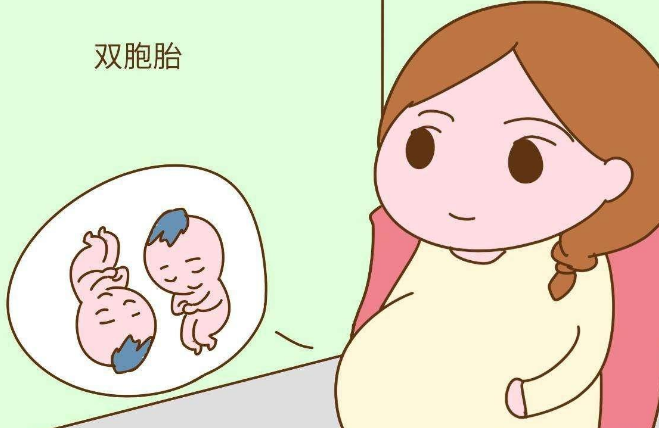 做试管可以怀双胞胎
