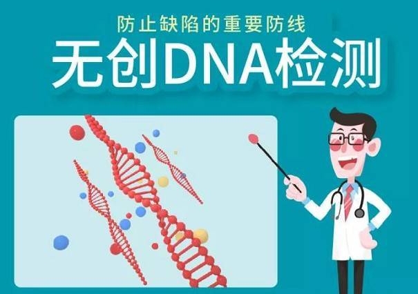 一文教你了解无创dnaplus和无创dna的区别，价格有差异